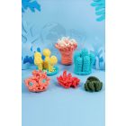 Corals - Amigurumi kit