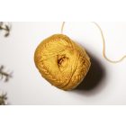 17.Puli 1154 – Corn Yellow